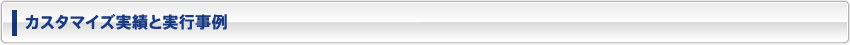 カスタマイズ実績と実行事例